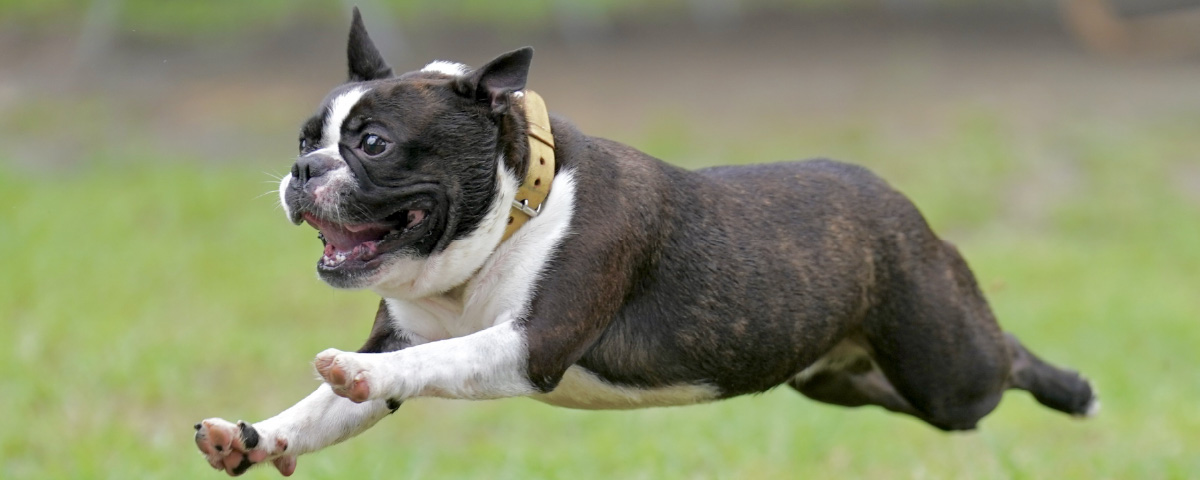 ご予約／お問合せ