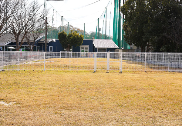 ドッグランフィールド